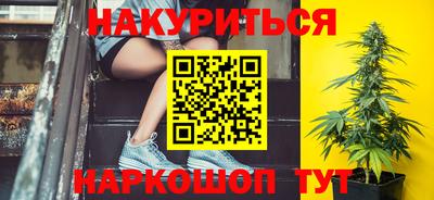 Альфа ПВП Будённовск