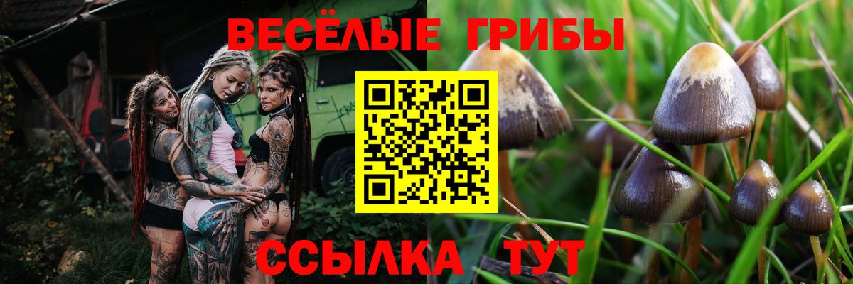 Галлюциногенные грибы MAGIC MUSHROOMS  где купить   Протвино  Вход с VPN  Псилоцибиновые грибы Magic Shrooms 